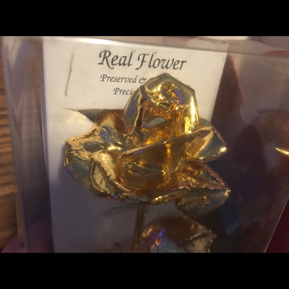 Vintage Real Rose Dipped In 24k Gold. 15+Years Old - image 1